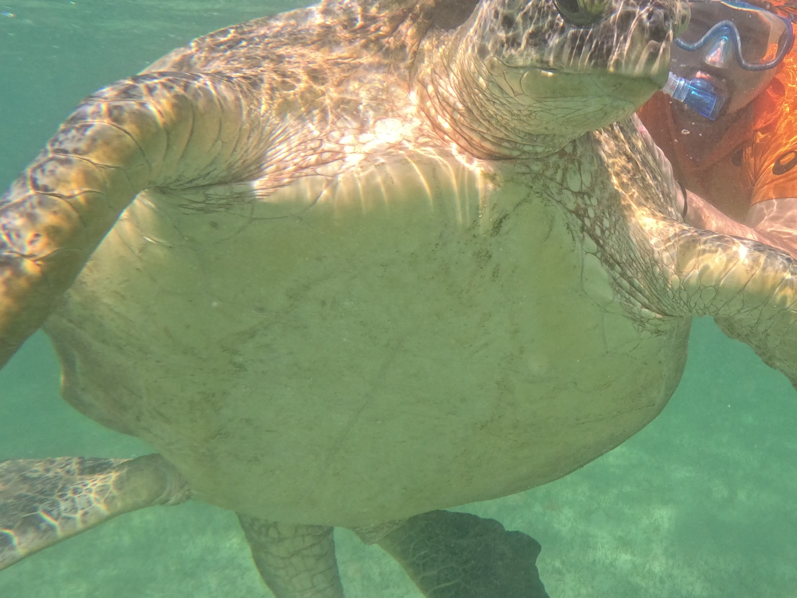 Madagaskar Nosy Be – URLAUB